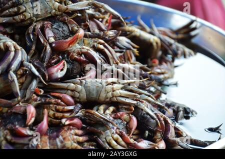 Il fornitore prepara piatti di pesce su una bancarella a Chinatown Foto Stock