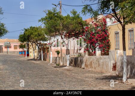 Strada lastricata con case colorate e albero in fiore a Bofareira sull'isola Boa Vista di Capo Verde in Africa Foto Stock