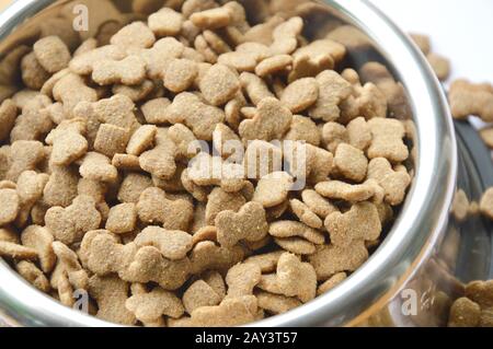 alimenti per cani in ciotola circolare inox su sfondo bianco Foto Stock