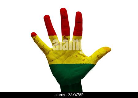 bandiera delle palme bolivia Foto Stock