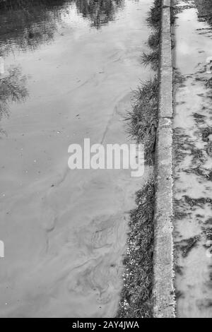 Grande pudle nuvoloso su pista di campagna allagata, con erbacce sommerse e riflessi nell'acqua. Fangoso le acque idioma, acqua torbida, mancanza di chiarezza Foto Stock