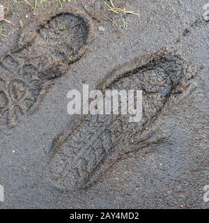 Due stampe di scarpe / stampe di scarpe / impronte sul sentiero fangoso rurale paese. Metafora del maltempo o dell'inverno, stagione autunnale, "stick nel fango" Foto Stock