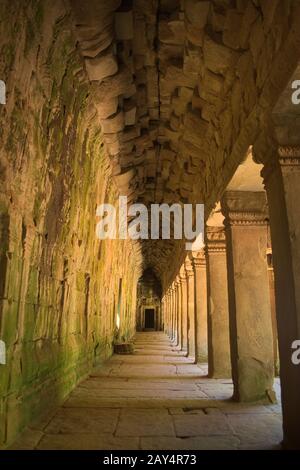 Galleria interna delle rovine del tempio di Ta Prohm, situato nel complesso Angkor Wat vicino a Siem Reap, Cambogia. Foto Stock