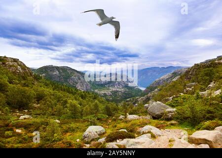 Montagna sulla strada per la scogliera Prekestolen nel fiordo Lysefjord - Norvegia Foto Stock