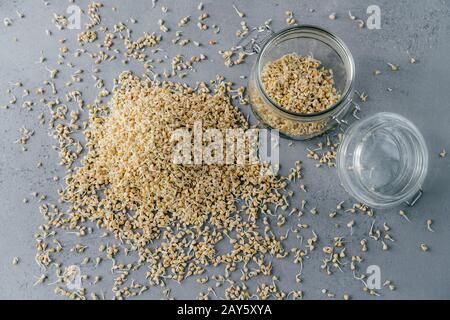 Mucchio di germogli di grano saraceno in vaso di vetro su sfondo grigio. Grani di grano saraceno. Vitamine e concetto sano di consumo. Colazione gustosa Foto Stock