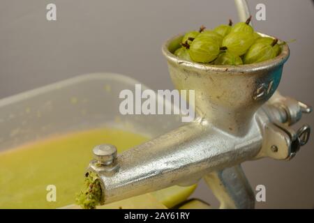 I mirtilli d'oca verdi vengono pressati in una pressa per frutta - primo piano Foto Stock