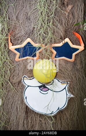 Funny foto di un albero e sunglass Foto Stock