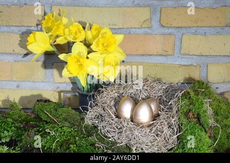 Sistemazione con Daffodil giallo, muschio e nido con uova d'oro. Foto Stock