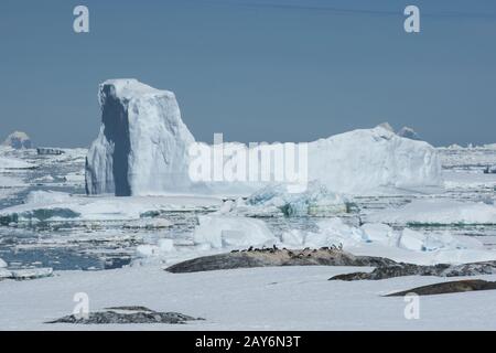 Iceberg nello stretto tra la Penisola Antartica e le isole della colonia di pinguini Foto Stock