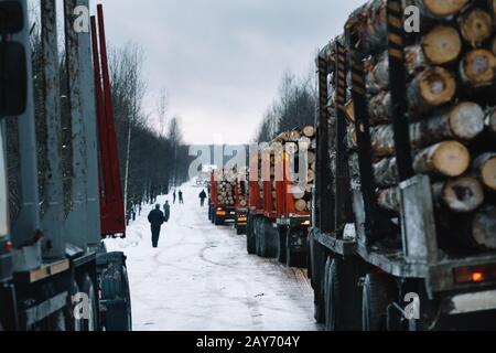 Caricate i veicoli lunghi su strada invernale fra la foresta Foto Stock