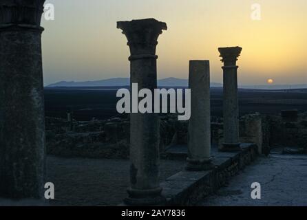 Volubilis, una linea di colonne romane al tramonto, nella città romana di Volubilis, Marocco, Maroc Foto Stock