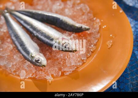 Acciughe fresche su un letto di ghiaccio Foto Stock