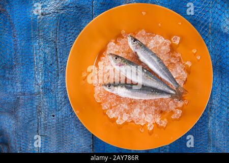Acciughe fresche su un letto di ghiaccio Foto Stock