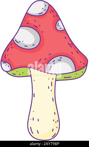 fungo flora decorazione cartone disegno su sfondo bianco vettore illustrazione Illustrazione Vettoriale