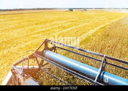 Vista dalla cabina di una mietitrebbia Foto Stock