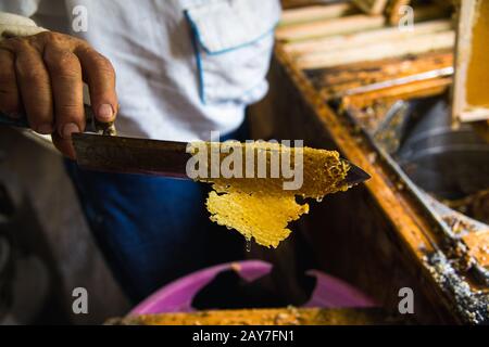 mano dell'uomo e un coltello speciale per tagliare una cera da una cornice di miele Foto Stock