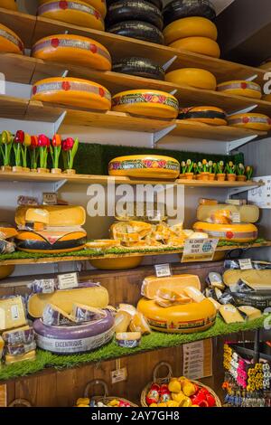 Gouda, Paesi Bassi - 27 aprile 2017: Negozio di formaggio a Gouda Foto Stock