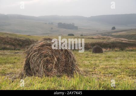 Fieno nelle pile sul campo. Paesaggio caucasico Foto Stock