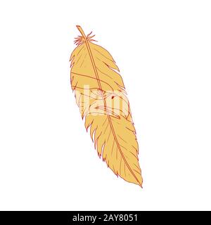 Aquila di mare testa dentro il disegno di piume Foto Stock