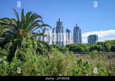 Buenos Aires, vista da Costanera Sur riserva ecologica Foto Stock