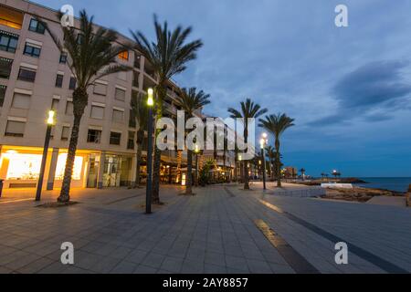 Palme sulla famosa passeggiata della città a Torrevieja, Spagna Foto Stock