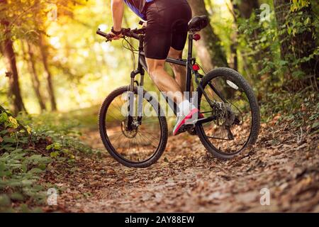 Vista a basso angolo ciclista equitazione mountain bike attraverso la foresta soleggiata .Primavera, natura, concetto di sport Foto Stock