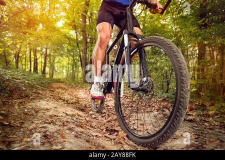 Primo piano della ruota della moto in movimento .Primavera, natura, concetto sportivo Foto Stock