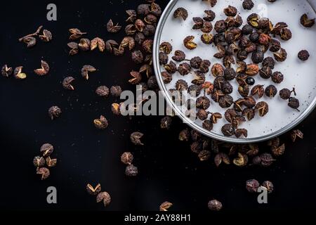 Semi secchi di pepe di Tumit su sfondo nero Foto Stock