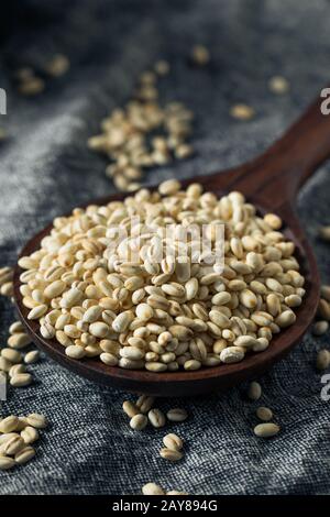 Barley Perle Italiano Grezzo Biologico In Una Ciotola Foto Stock