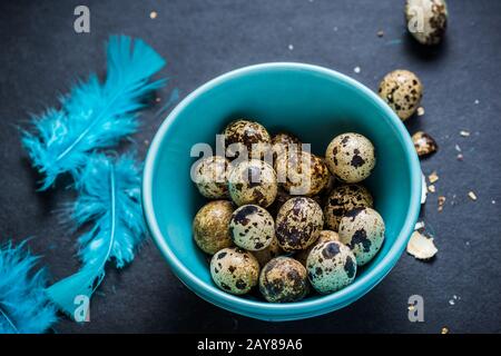 Uova di quaglia in ciotola pastello su sfondo scuro, concetto di Pasqua. Foto Stock