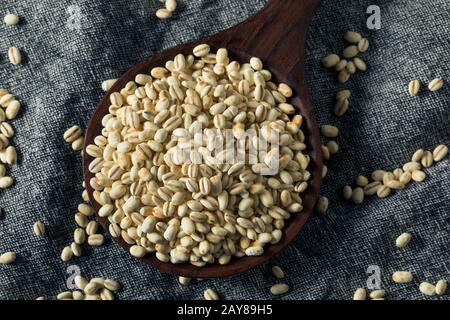 Barley Perle Italiano Grezzo Biologico In Una Ciotola Foto Stock