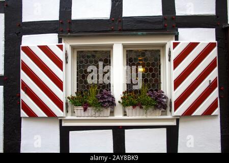 Königswinter, Renania, Reno, Siebegebirge, NRW, Germania Foto Stock