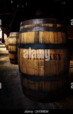 Affinamento di whisky in vecchie botti di legno Foto Stock