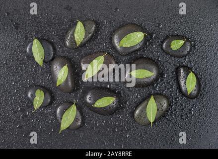 Pietre nere e foglie verdi, ricoperte di gocce d'acqua Foto Stock