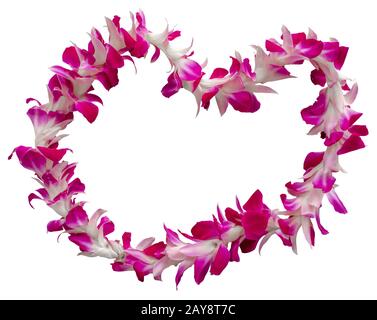 Collana Con Collana Di Benvenuto Hawaiana Su Sfondo Bianco Foto Stock