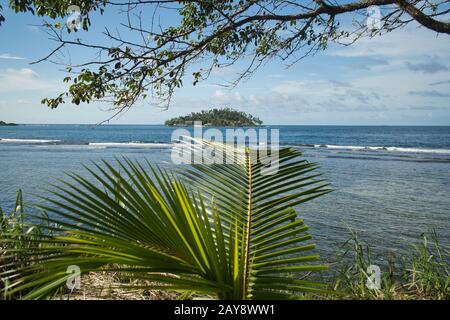 Fotografato da fronde di palma su una piccola isola nel Mar dei Caraibi - wanderlust chiama Foto Stock