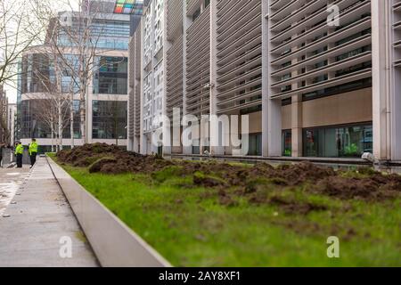 Letto in erba danneggiato, ufficio domestico, Marsham Street, Londra, Regno Unito Foto Stock