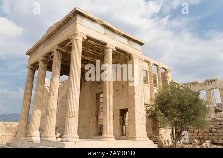 Tempio e ulivo all'Acropoli di Atene, Grecia Foto Stock