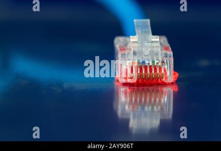 Cavo Ethernet di rete isolato su sfondo blu primo piano Foto Stock