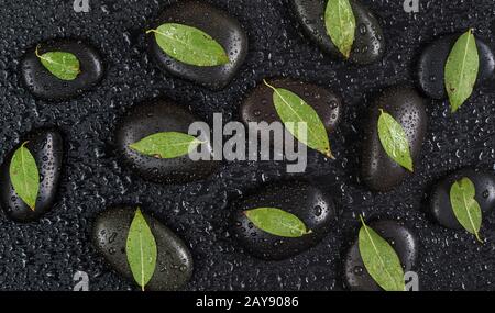 Pietre nere e foglie verdi, ricoperte di gocce d'acqua Foto Stock