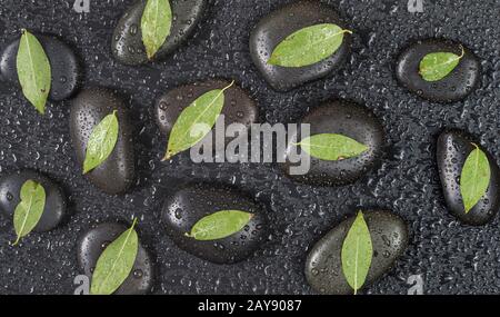 Pietre nere e foglie verdi, ricoperte di gocce d'acqua Foto Stock