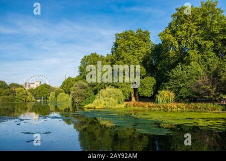 Vista di St James's Park a Londra con il London Eye sullo sfondo. Foto Stock