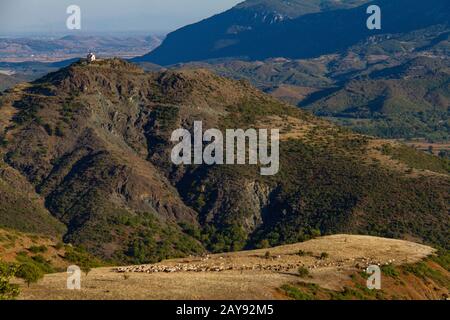 Chiesa e pastori pascolano le pecore sull'altopiano, Thessalia, Grecia Foto Stock