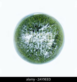 Panorama sferico di un paesaggio invernale Foto Stock