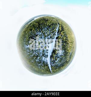 Panorama sferico di un paesaggio invernale Foto Stock