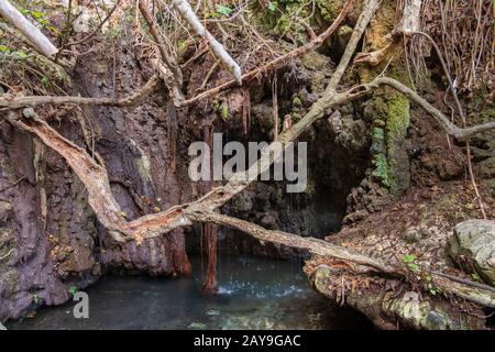 Bagni di Grotta di Afrodite con laghetto e sorgente d'acqua ad Akamas Foto Stock