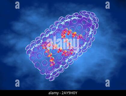 Il virus della rabbia, illustrazione Foto Stock