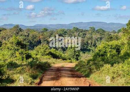 Vista sulla foresta e sulle montagne di Aberdare Foto Stock