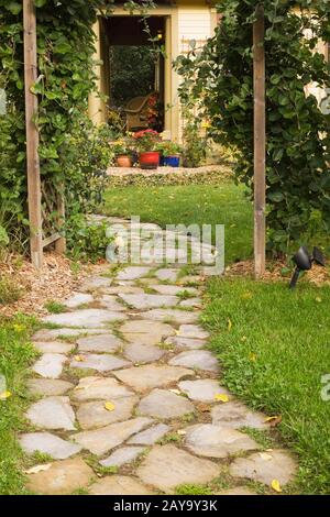 Sentiero flagstone attraverso pergolato di legno coperto con arrampicata Vitis - Viti, vista posteriore di casa gialla con traliccio e teracotta, piallai rossi e blu. Foto Stock