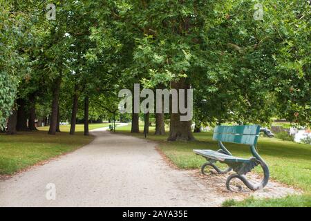 Il parco in legno banco sotto alberi di quercia Foto Stock